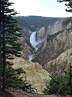 Canyon village Upper fall (13).JPG